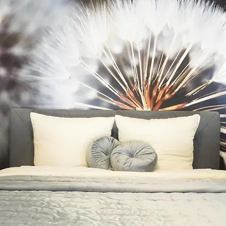 11 * מיירסבורג